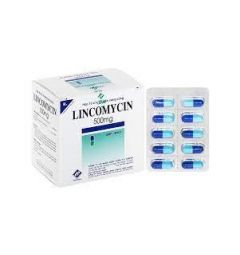 LINCOMYCIN 500MG