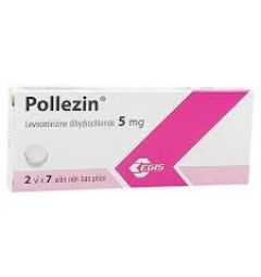 POLLEZIN