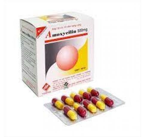 AMOXICILLINE 500mg