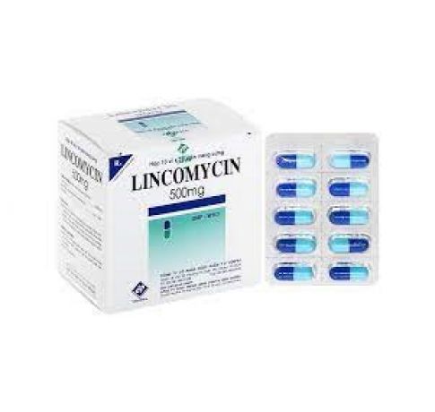 LINCOMYCIN 500MG