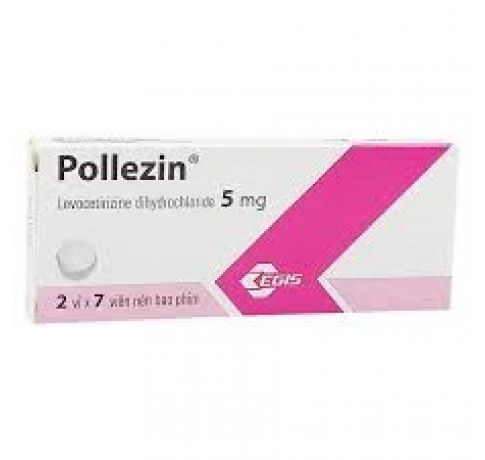 POLLEZIN