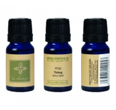 Tinh dầu Thông 10ML