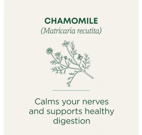 Traditional Medicinals, Organic Chamomile Supports Relaxatoin , 16 Wrapped Tea Bags