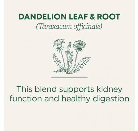 Traditional Medicinals, Organic Dandetion leaf & Root detox+Kidney health , 16 Wrapped Tea Bags