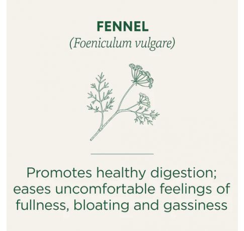 Traditional Medicinals, Organic Fennel relieves gas+ Bloating , 16 Wrapped Tea Bags