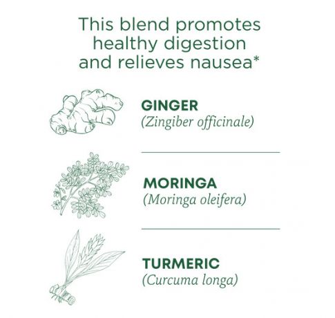 Traditional Medicinals, Organic ginger aid digestion & relieves nausea, 16 Wrapped Tea Bags