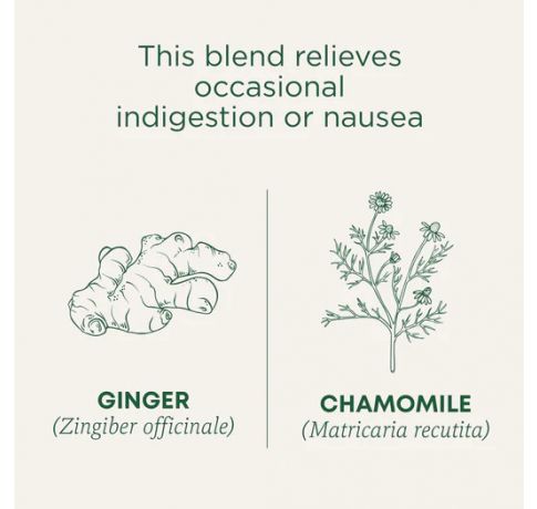 Traditional Medicinals, Organic Ginger & chamomile digestion+relaxation , 16 Wrapped Tea Bags