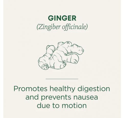 Traditional Medicinals, Organic ginger digestion support pleasantly spicy & warming, 16 Wrapped Tea Bags