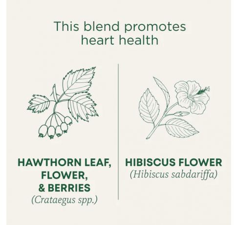 Traditional Medicinals, Organic Hawthorn & Hibiscus Promotes Heart health , 16 Wrapped Tea Bags