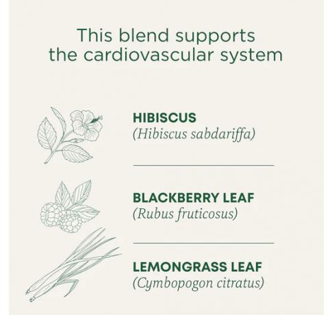 Traditional Medicinals, Organic Hibiscus Promotes heart health tart & fruity , 16 Wrapped Tea Bags