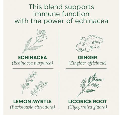 Traditional Medicinals, Organic Immune Zoom Lemon ginger echinacea supports immune function , 16 Wrapped Tea Bags