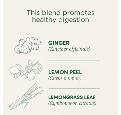 Traditional Medicinals, Organic Lemon Ginger digestion Support, 16 Wrapped Tea Bags