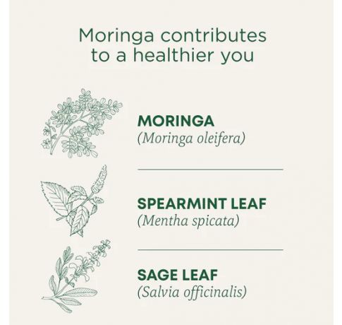 Traditional Medicinals, Organic moringa everyday wellness , 16 Wrapped Tea Bags