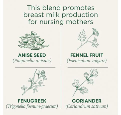 Traditional Medicinals, Organic Mother's Milk fennel& fenugreek Promotes healthy lactation , 16 Wrapped Tea Bags