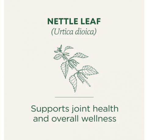 Traditional Medicinals, Organic Nettle Leaf Everyday wellness + Joint Support, 16 Wrapped Tea Bags