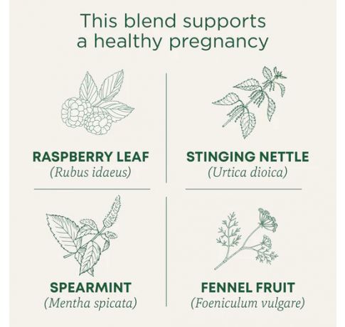 Traditional Medicinals, Organic Pregnancy tea raspberry leaf , 16 Wrapped Tea Bags