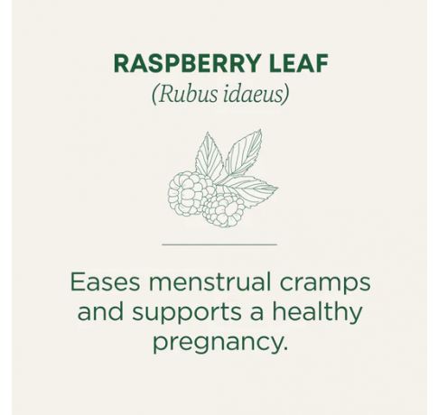 Traditional Medicinals, Organic Raspberry Leaf menstrual cramp+pregnancy support , 16 Wrapped Tea Bags