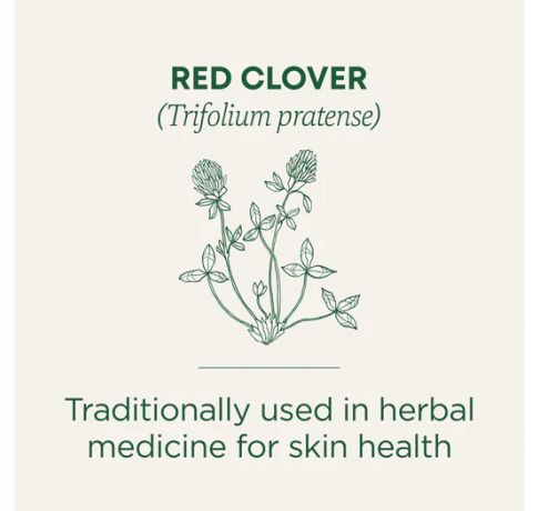 Traditional Medicinals, Organic Red Clover supports skin health , 16 Wrapped Tea Bags