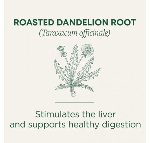 Traditional Medicinals, Organic roasted dandelion root Detox + digestion , 16 Wrapped Tea Bags