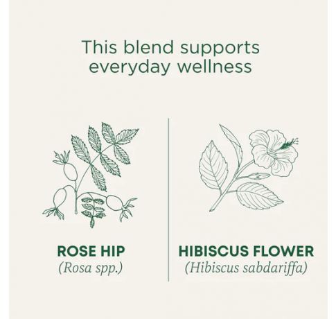 Traditional Medicinals, Organic Rose Hips & Hibiscus everyday wellness , 16 Wrapped Tea Bags