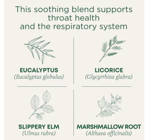 Traditional Medicinals, Organic Throat coat Eucalyptus Supports Throat & respiratory health, 16 Wrapped Tea Bags