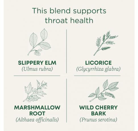 Traditional Medicinals, Organic Throat coat Original with slippery elm , 16 Wrapped Tea Bags