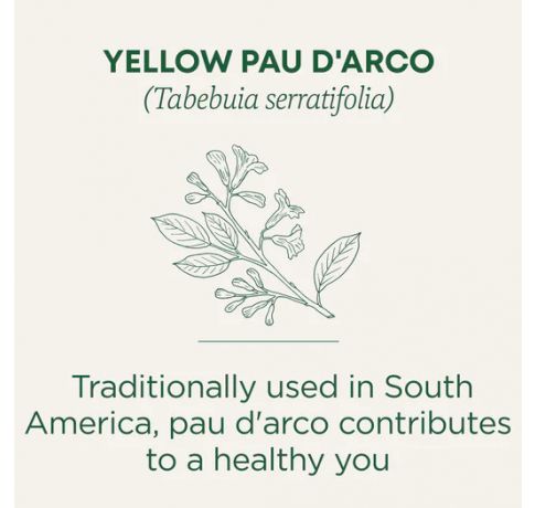 Traditional Medicinals, yellow Pau d'Arco everyday wellness, 16 Wrapped Tea Bags